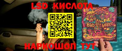 ГАЛЛЮЦИНОГЕННЫЕ ГРИБЫ Новодвинск