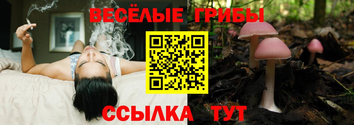 Галлюциногенные грибы Magic Shrooms Тула